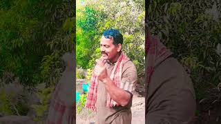 हो🙏 हो❣️ औठि 🥀कुसै 💐को🌹 #ekmotahathighumechal Nepali viral song geet