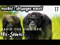 Part 1 | David The King Ape | Dynasties | Ape War | ചിമ്പാൻസികളുടെ യുദ്ധം | HisStories