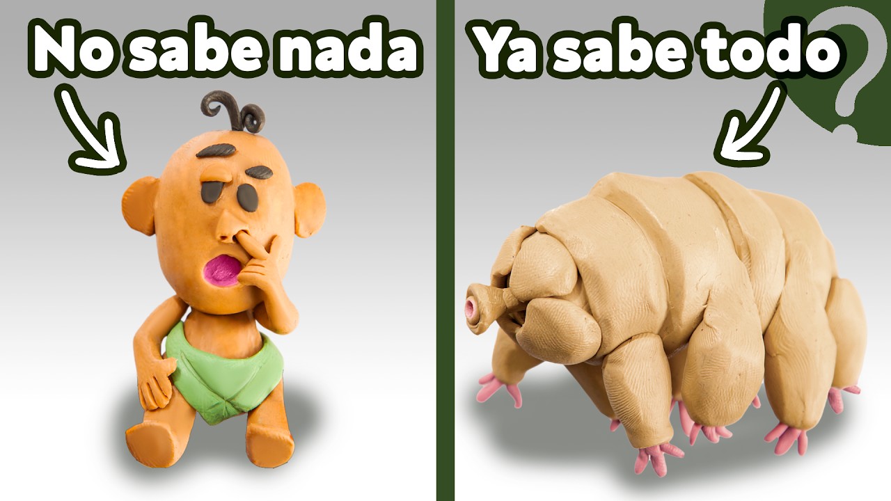 ¿Por qué los humanos nacemos ignorantes?