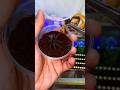 Повторили тренд. Ставь лайк малышу 🕷️ паук птицеед Grammostola Pulchra #shorts #tarantula #spider