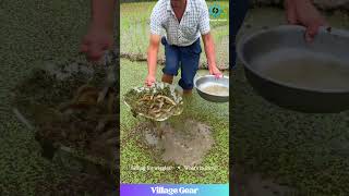 Eel Fishing In A Duckweed Sea This Is Wild & Wiggly