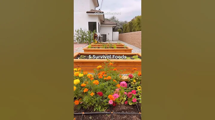 5 SURVIVAL FOODS TO GROW! 🌽