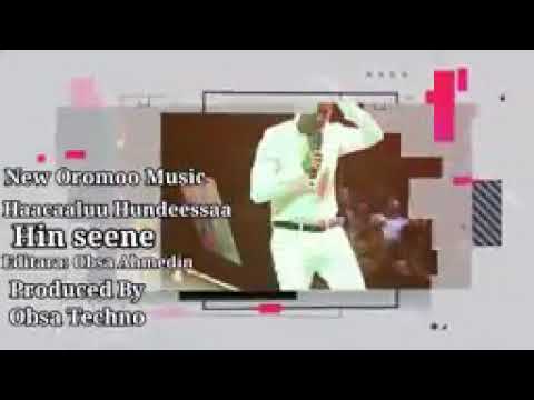 Haacaaluu Hunddeessa Hin Seenee