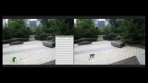 Inaxsys CCTV Lite AI -Comparison