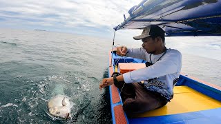 Download Lagu The Fishing Spot is Still Virgin, the Big Fish are Hungry, Abundant Fortune, Full Box!! MP3