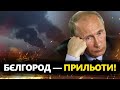 ВИБУХИ в Бєлгороді! Від ПРИЛЬОТІВ вилітають вікна і ГОРЯТЬ автомобілі. УДАР по окупантах на Росії