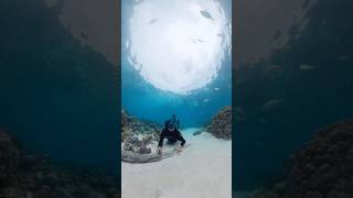 🐟🐡 #natural #nature #travel #beutifullnature #sea #freedive #dive