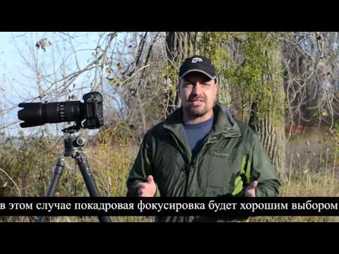 Видео: Как использовать Nikon Transfer: 8 шагов (с изображениями)