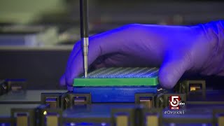 Accessing your genetic makeup