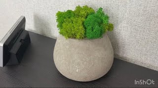DIY.Кашпо.Своими руками. БЕТОННОЕ КАШПО