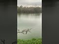 Lake view #lake #lakeview