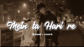 Mein ta Hari re ( dil se dil tak) | slowed   reverb | trending lofi song