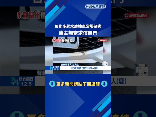 路過小心! 彰化多起"水鹿撞車事故" 苦主無奈求償無門－民視新聞