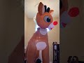 #rudolph #christmas #inthehouse