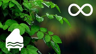 Concentration in Harmony • Piano & Rain for a Peaceful Work Flow