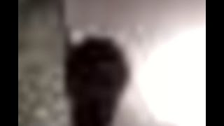 Bir Çırpıda Bir Çırpıdaa