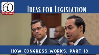 Ideas for Legislation: How Congress Works, Part 18