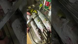 #pesca Spinning #barracuda #pesce serra dal mare alla cucina 🐟🎣
