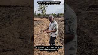 Planting Fruit Trees to Support Farmer's Livelihood in Palghar Villages. trees.subhajit@gmail.com