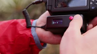 Lumera: transform your camera into the smartest one
