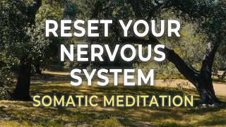 You’re Not Anxious, Your Nervous System Is Stuck | Somatic Meditation for Anxiety Relief