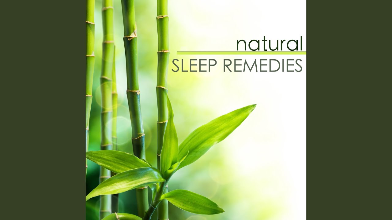 REM Cycle (Dream Music) YouTube