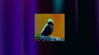 Download Lagu LEONE, Mare Mar - Slow Burn (Official Audio) MP3