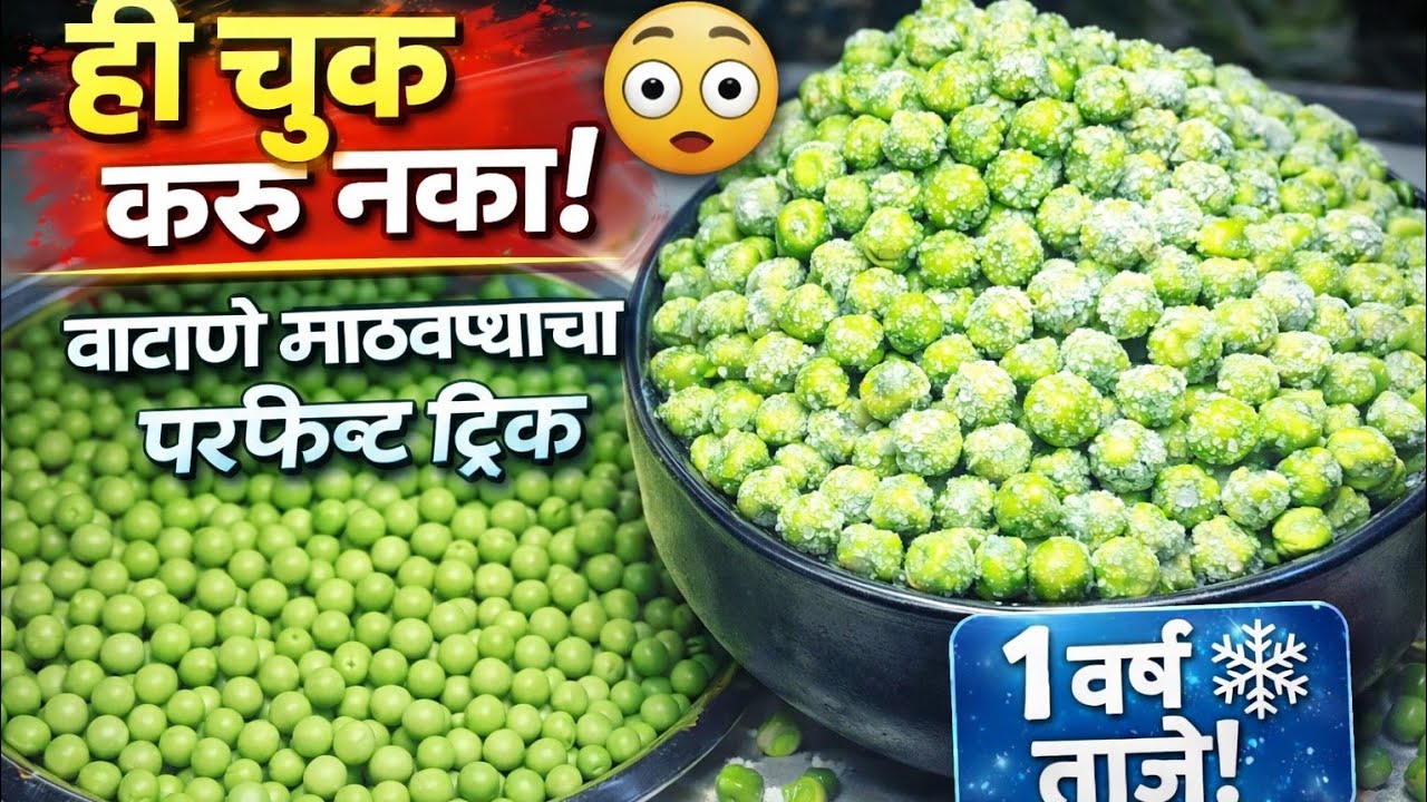 वाटाणे फ्रीजमध्ये कसे ठेवायचे? | Perfect Storage Method Marathi | ही परफेक्ट साठवण पद्धत वापरा