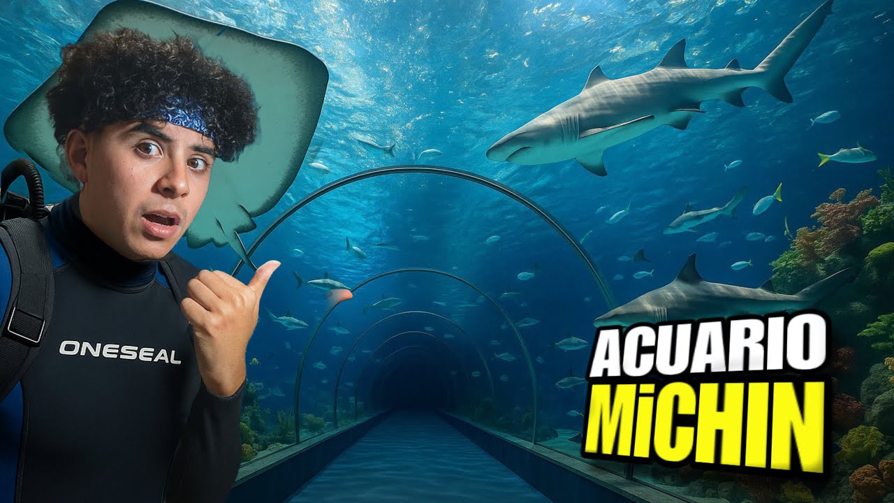 Un día en el Mejor ACUARIO de MÉXICO 