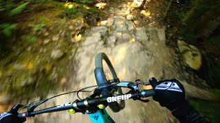 Riding Fast on my new bike - Downhill track at the Whistler Bike Park