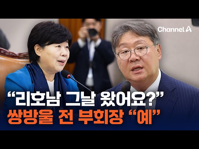 청문회 나온 쌍방울 부회장 "리호남, 필리핀에서 만났다" [현장영상] / 채널A