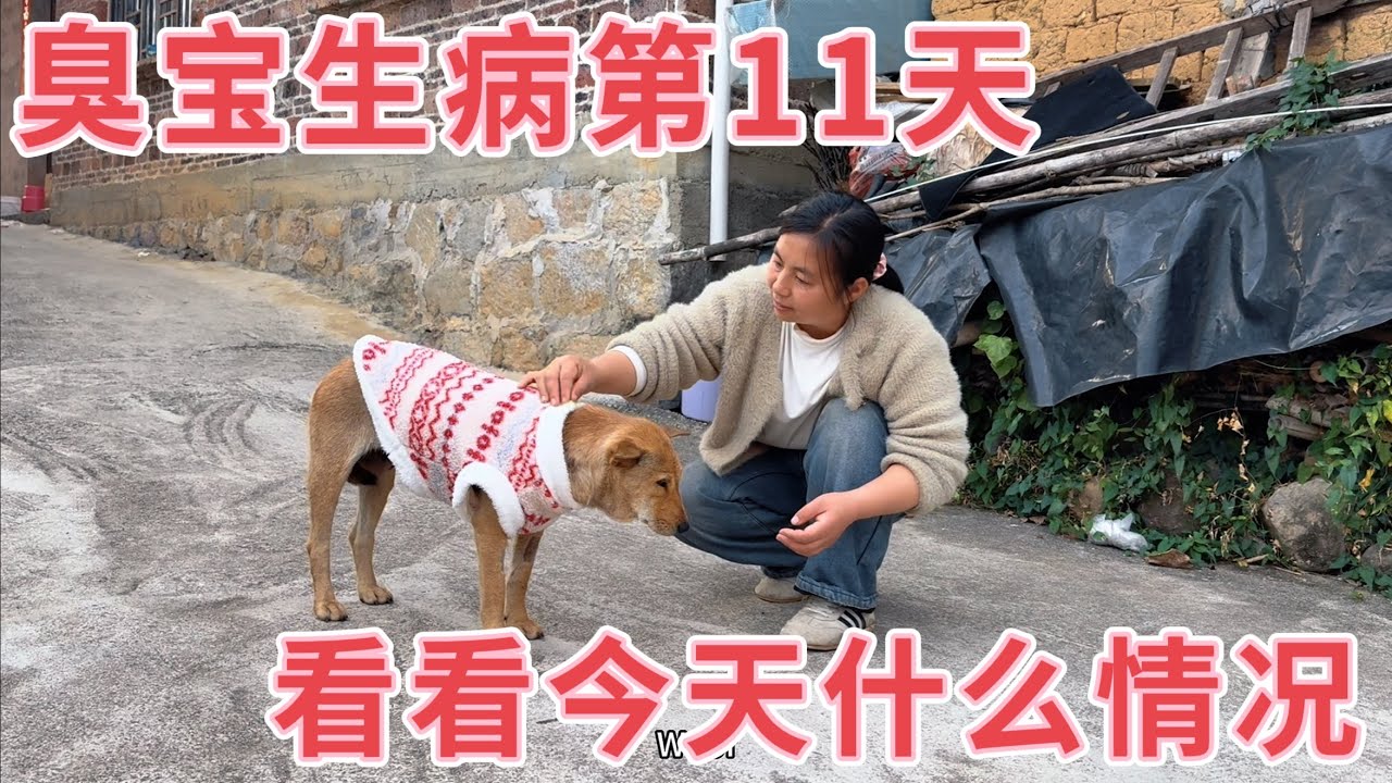 臭宝生病第11天，昨天终于开始主动进食了，为何今天又带去医院？看看发生了什么