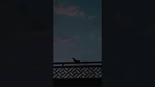 When FAASLE got real 🍃