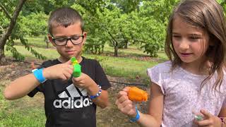 Peach Farm Adventure With Daniela & Philip Fun Challenges And Feeding Animals