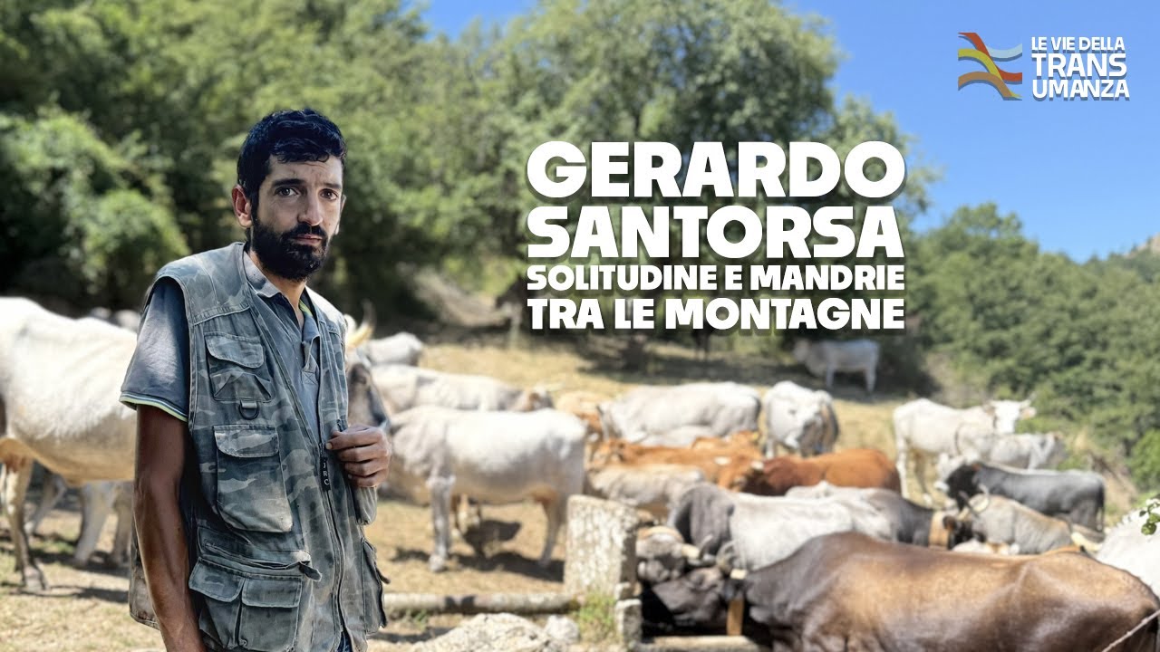 Gerardo Santorsa: solitudine e mandrie tra le montagne