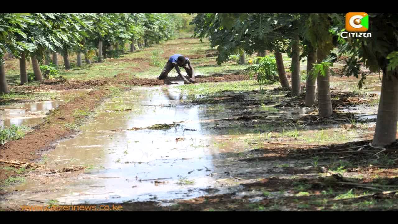 Somalia's Food Basket Part 2
