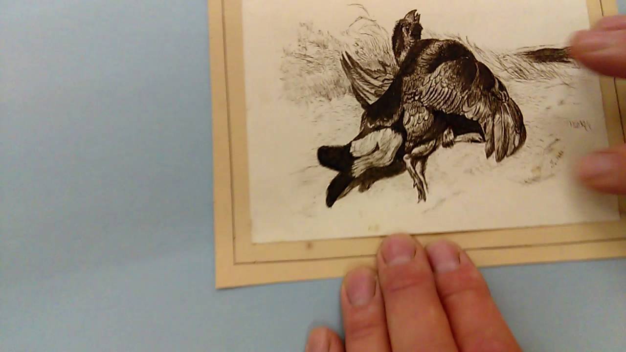 DETAILED HAND DRAWN SEPIA PEN and INK SKETCH of DEAD GAME BIRD GROUSE DATED 1860