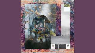 Matthew Dear - Hikers Y | Preacher&#39;s Sigh &amp; Potion: Lost Album | Ghostly International