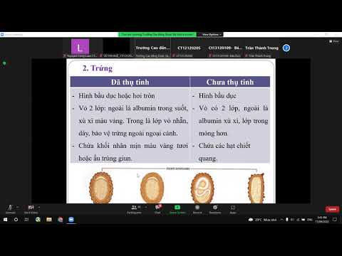Video 17/04/2022 - Ký Sinh Trùng - Các loại giun tròn gây... - youtube