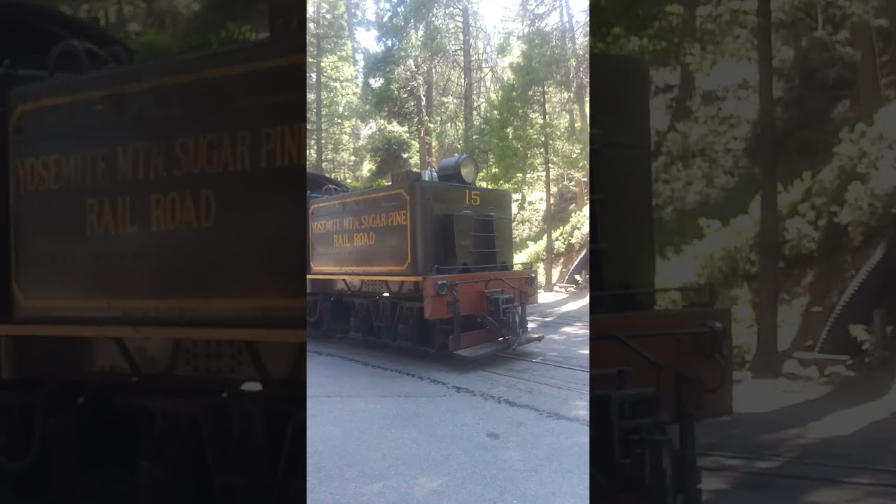 Yosemite sugar pine train