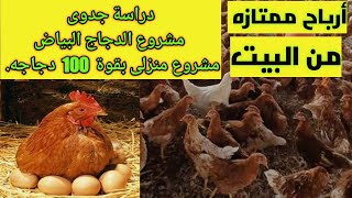 دراسة جدوى مشروع منزلى فراخ بياض بقوة  100 فرخه 👉👉