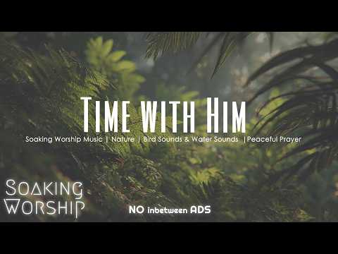 🌿 Soaking Worship Music | Nature, Bird Sounds & Water Sounds | Peaceful Prayer ✝️🕊️
