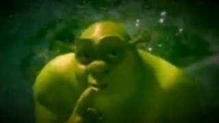 Shrek In A Nutshell