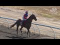 View race 3 video for 2021-07-10