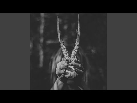 Toki Fuko — Caesia (DP-6 Remix)