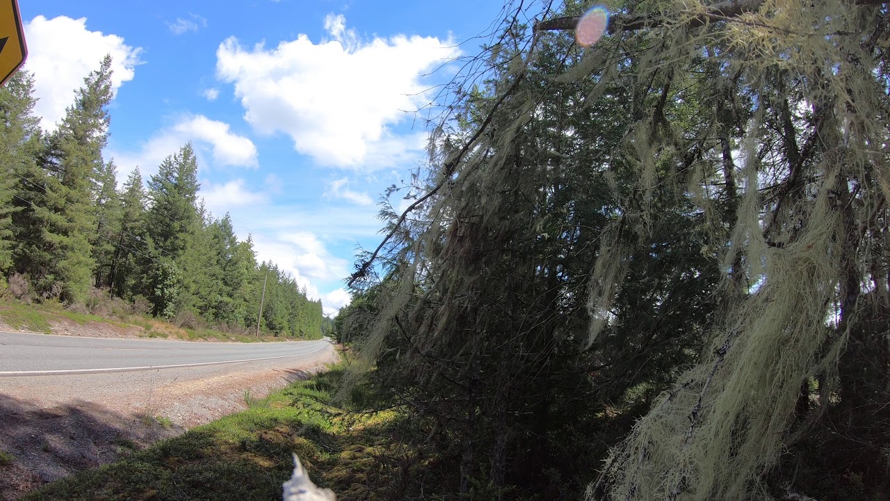 Sundown audio neo pro 8's on sax 200.4 v.2