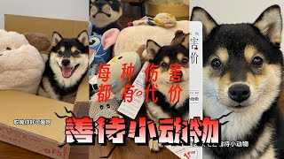 小动物不是玩物❌ #柴犬 #豆柴 #抖音 #柴犬可愛い