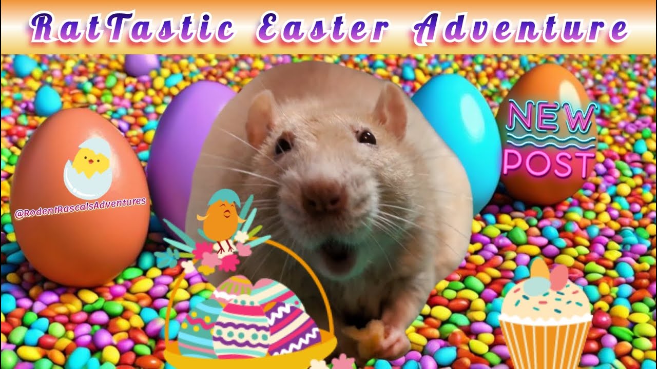 Fancy Rat's RatTastic Easter Adventure 