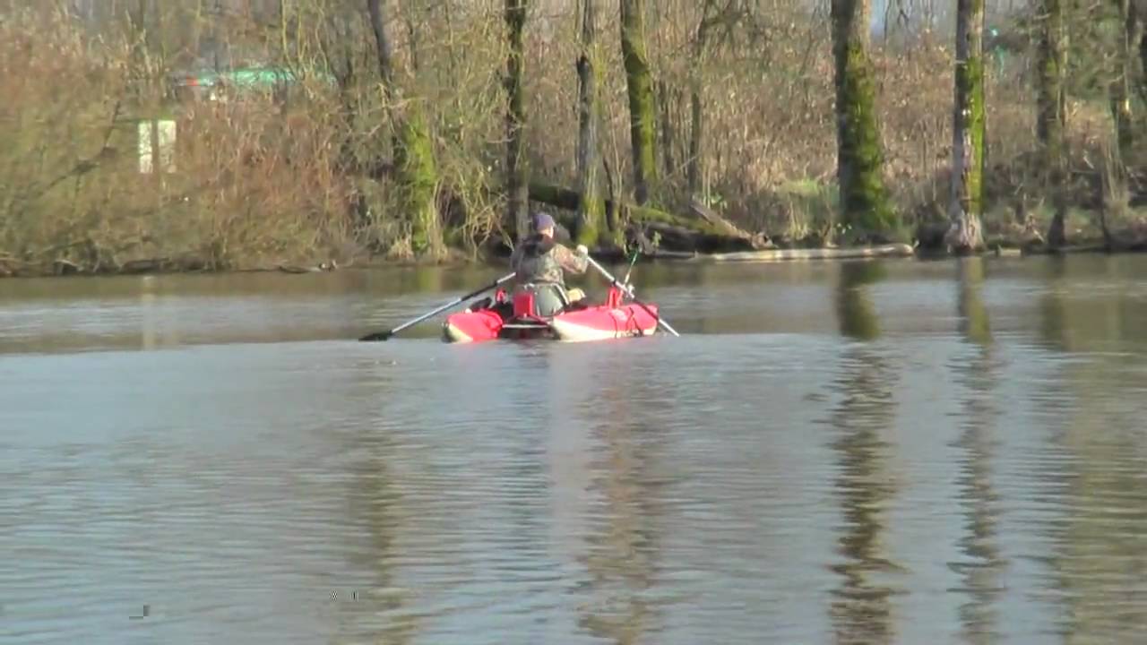Brooder Trout at Junction city pond