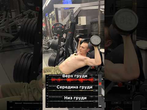 Качай грудь по науке💪🏼За персональным планом обращаться в телеграм:@TrainerSmirnoVV
